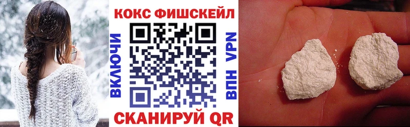 Купить где Арамиль КОКАИН Fish Scale