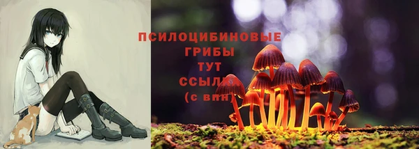mdma Магас