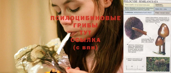 эйфоретик Магадан