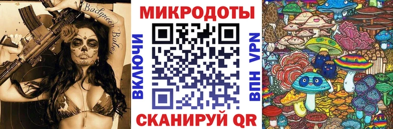 Купить где  Арамиль  Псилоцибиновые грибы Psilocybe 